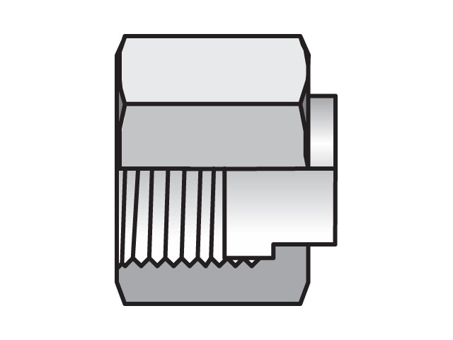 Seal-Lok ORFS Plug and Cap FNML