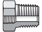 1 X 1/2 PTR-SS Pipe & Port Reducer, Expander, Conversion PTR